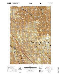 2020 Map of Huron, 2020 Print