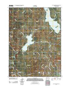 2011 Map of Hyatt Reservoir, 2011 Print