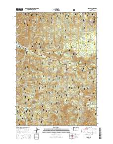 2014 Map of Idanha, 2014 Print