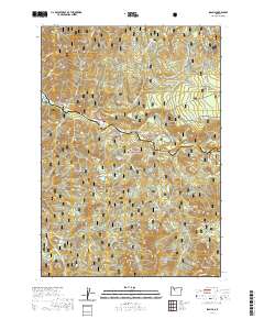 2020 Map of Idanha, 2020 Print
