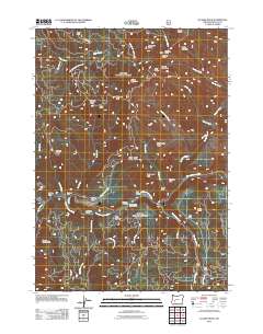 2011 Map of Illahee Rock, 2011 Print