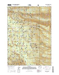 2014 Map of Imnaha Creek, 2014 Print