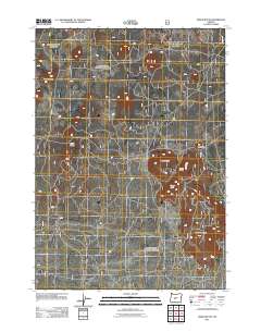 2011 Map of Indian Butte, 2011 Print