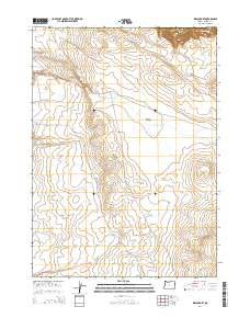 2014 Map of Indian Fort, 2014 Print
