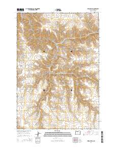 2014 Map of Indian Spring, 2014 Print