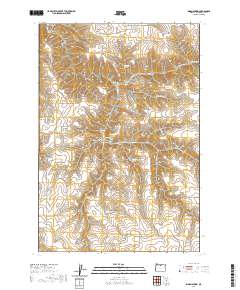2020 Map of Indian Spring, 2020 Print