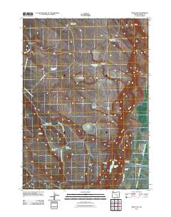 2011 Map of Irish Lake, 2011 Print