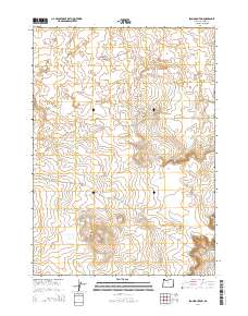 2014 Map of Iron Mountain, 2014 Print