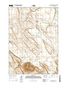 2014 Map of Iron Mountain Flat, 2014 Print