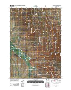 2011 Map of Isham Creek, 2011 Print