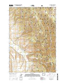 2014 Map of Isham Creek, 2014 Print