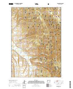2020 Map of Isham Creek, 2020 Print
