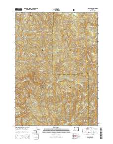 2014 Map of Ivers Peak, 2014 Print