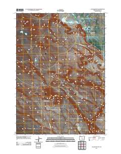 2011 Map of Jackass Butte, 2011 Print
