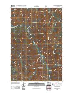 2011 Map of Jim White Ridge, 2011 Print