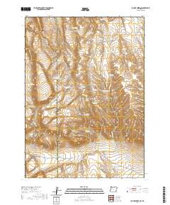 2020 Map of Johnny Creek SW, 2020 Print