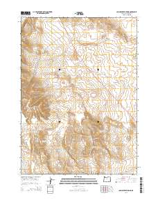 2014 Map of Johnny Creek Spring, 2014 Print