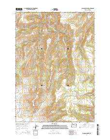 2014 Map of Johnson Heights, 2014 Print