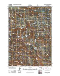 2011 Map of Johnson Saddle, 2011 Print