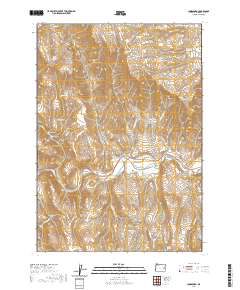 2020 Map of Jonesboro, 2020 Print