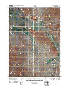 2011 Map of Jordan Valley, 2011 Print