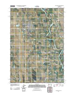 2011 Map of Junction City, 2011 Print