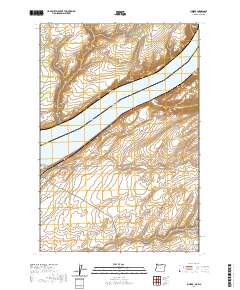 2020 Map of Juniper, 2020 Print
