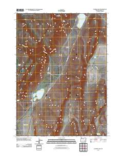 2011 Map of Juniper Lake, 2011 Print