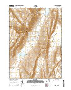 2014 Map of Juniper Lake, 2014 Print