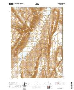 2020 Map of Juniper Lake, 2020 Print