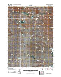 2011 Map of Juniper Point, 2011 Print