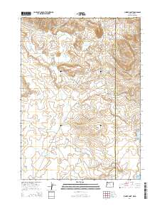 2014 Map of Juniper Point, 2014 Print
