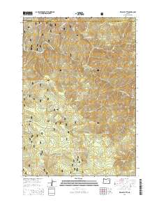 2014 Map of Kelsay Butte, 2014 Print