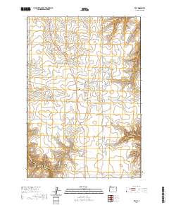 2020 Map of Kent, 2020 Print