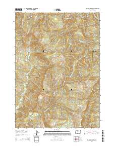 2014 Map of Kenyon Mountain, 2014 Print