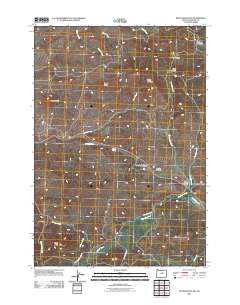 2011 Map of Keyes Mountain, 2011 Print