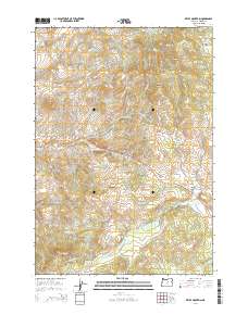2014 Map of Keyes Mountain, 2014 Print