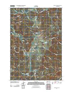 2011 Map of Kings Valley, 2011 Print