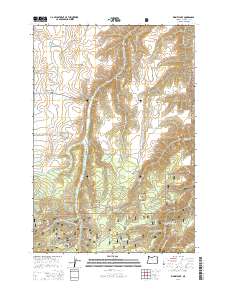 2014 Map of Kinney Lake, 2014 Print
