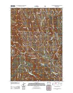 2011 Map of La Grande Reservoir, 2011 Print