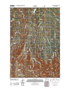 2011 Map of Lake Penland, 2011 Print