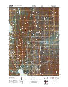2011 Map of Lake of the Woods North, 2011 Print