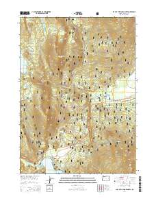 2014 Map of Lake of the Woods North, 2014 Print