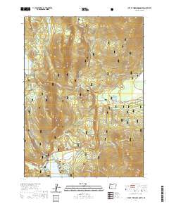 2020 Map of Lake of the Woods North, 2020 Print
