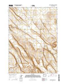 2014 Map of Lake on the Trail, 2014 Print