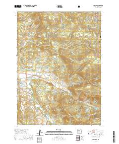 2020 Map of Lake Creek, 2020 Print