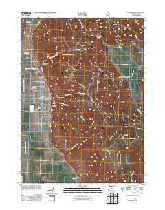 2011 Map of Lakeview, 2011 Print