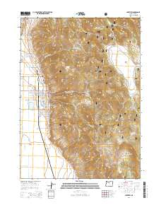 2014 Map of Lakeview, 2014 Print