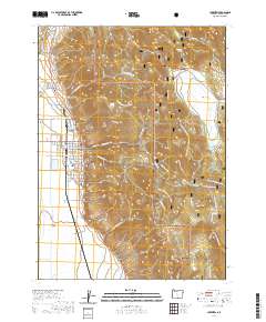 2020 Map of Lakeview, 2020 Print