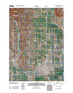 2011 Map of Lakeview Airport, 2011 Print